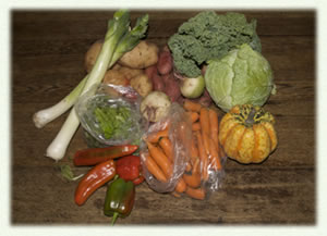 fall veggies