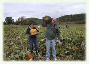 pumpkin pick2