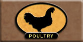 Wisconsin Pasturelands Poultry