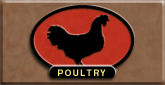 Wisconsin Pasturelands Poultry